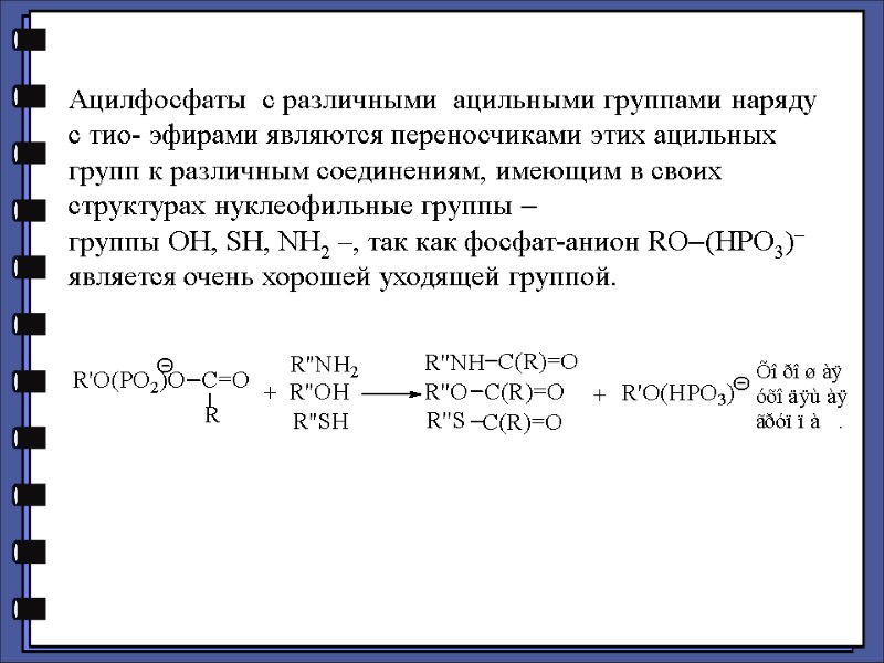 Ацилфосфаты  с различными  ацильными группами наряду с тио- эфирами являются переносчиками этих